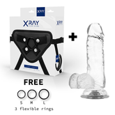 X RAY - SAFETY HARNESS + TRANSPARENT DILDO WITH BALLS 15.5 CM -O- 3.5 CM